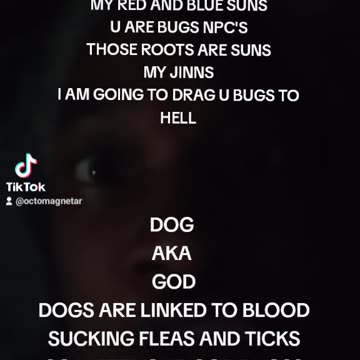 DOG AKA GOD