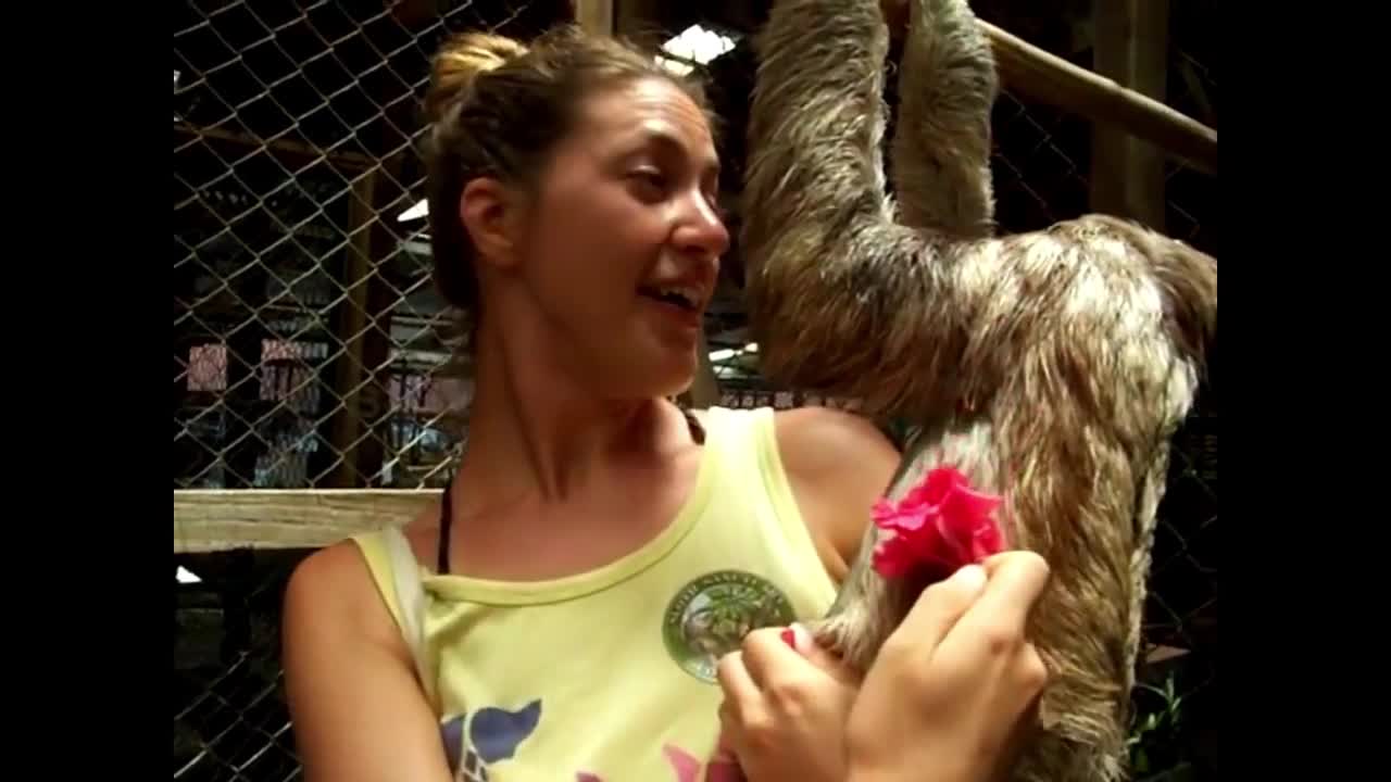 A selection of positive and touching moments with animals for a good mood 1