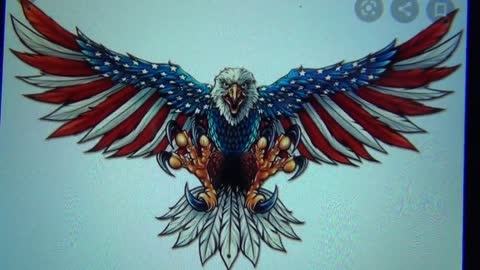 All Crests are Falcons and not Eagles because of the Horus Matrix and War against the Patriarchy