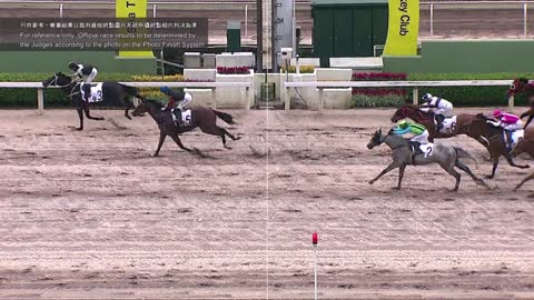 Horse_Race_2022061207_Chinese
