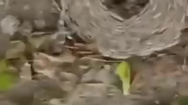 November 28, 2022 Phenomenon or Biblical Signs