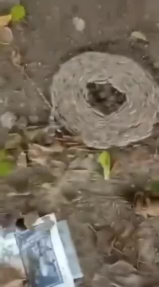 November 28, 2022 Phenomenon or Biblical Signs