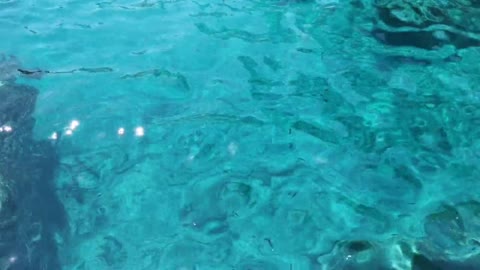 Who is the second person in the room?