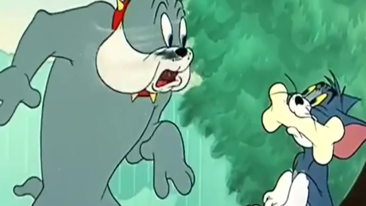 Tom and Jerry