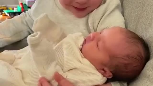 A video that will make your day better