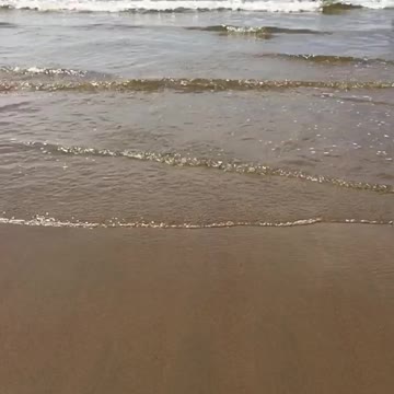 Soothing beach sounds, peaceful waves crashing. Help calm and relax your mind.