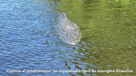 "Camino al totalitarismo"