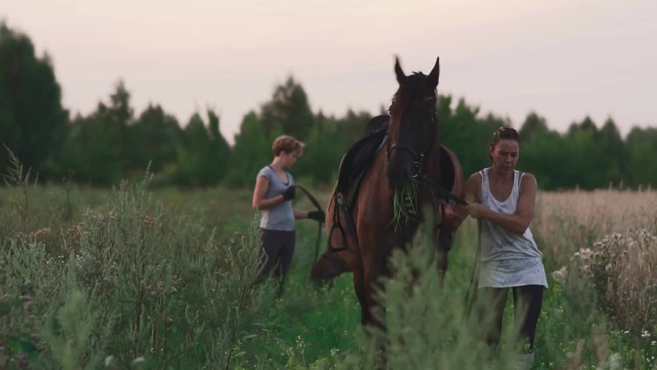 Girl is trying to stop a naughty horse