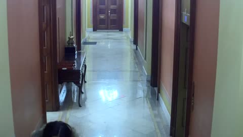 0263USCH02H227Hallway_2021-01-05_19h00min01s150ms.mp4