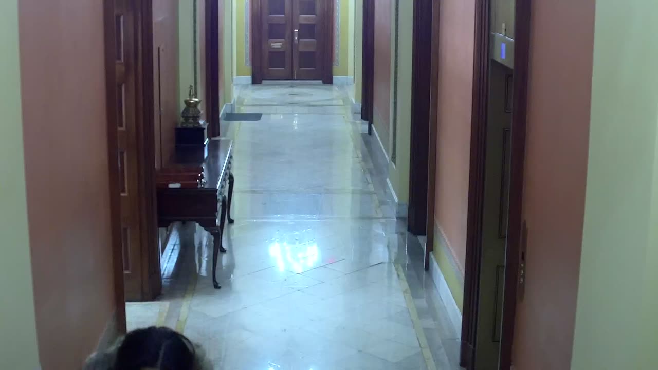 0263USCH02H227Hallway_2021-01-05_19h00min01s150ms.mp4