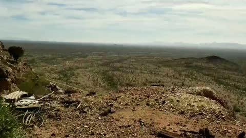 Man Encounters Colony of Bats During Mineshaft Exploration