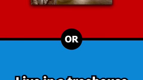 Red or blue