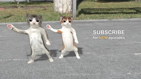 Animated cat dance