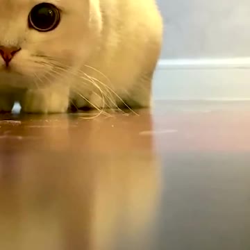 Maybe this is jerry first perspective,right?