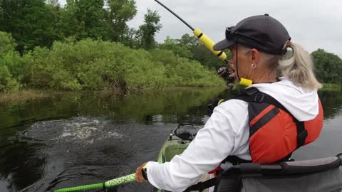 Chasing Florida Largemouth Bass