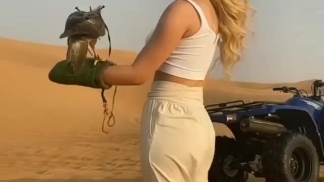 Desert safari adventure