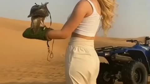 Desert safari adventure