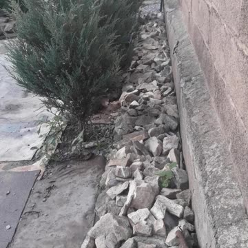 Skalniki along the house