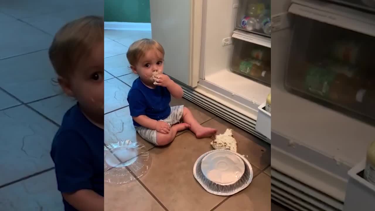 Funny baby video and hilarious