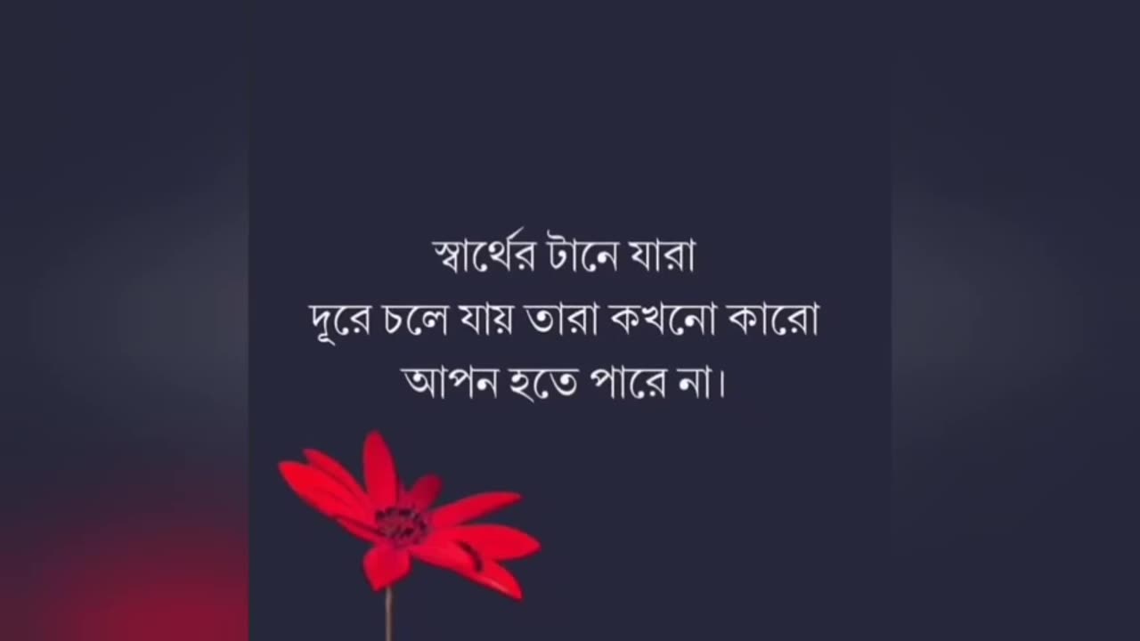 Motivational speech and sound 💢♥️
