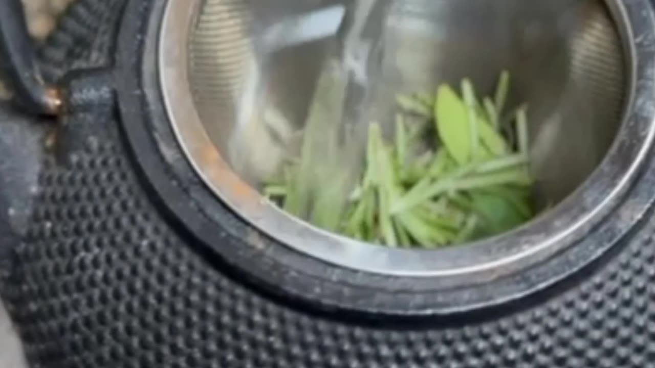 Behind the making of our newest cleansing and moisturising shampoo