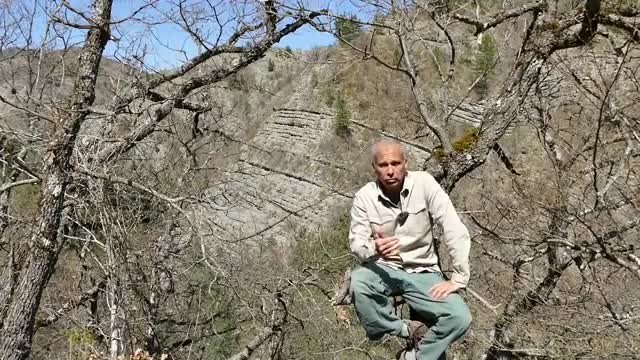 APPRENDRE À SURVIVRE... RECONNAÎTRE LES PLANTES COMESTIBLES DES PLANTES TOXIQUES !!!