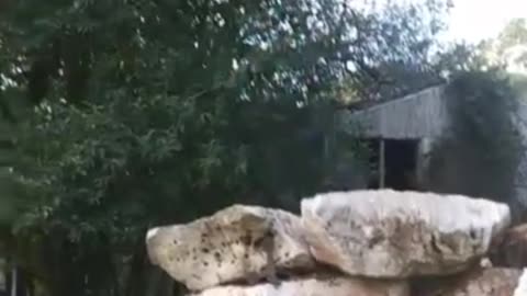 Guy in striped blue shirt does black flip off rocks and rocks fall apart