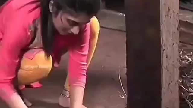 Desi girls WhatsApp status video