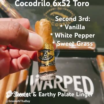 Warped Isla Del Cocodrilo 6x52 Toro #Shorts #Cigars #Short #Cigar #CigarOfTheDay #SNTB #CigarReview
