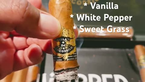 Warped Isla Del Cocodrilo 6x52 Toro #Shorts #Cigars #Short #Cigar #CigarOfTheDay #SNTB #CigarReview