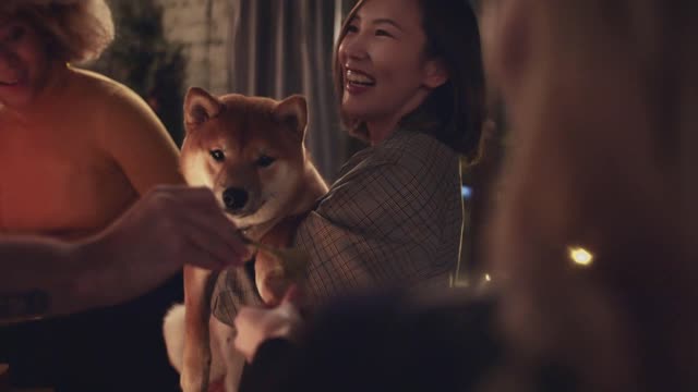 Cute dog kissing her owner's