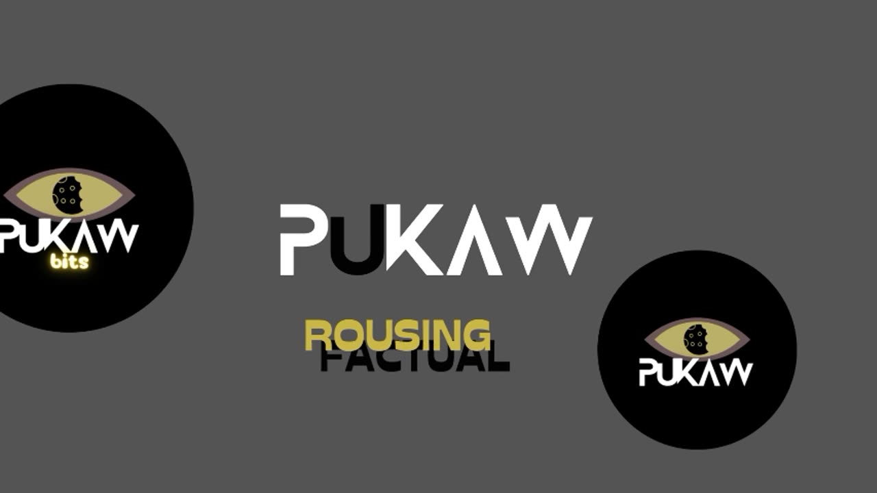 Pukaw Bits PH - information that