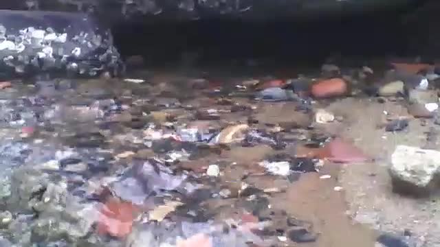 A pedra na praia forma uma cachoeira que vai em direção ao mar, lindo [Nature & Animals]