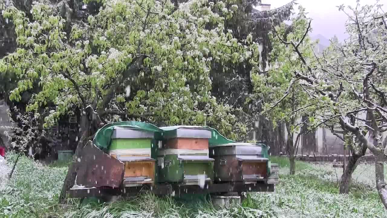 Nevicata di Maggio