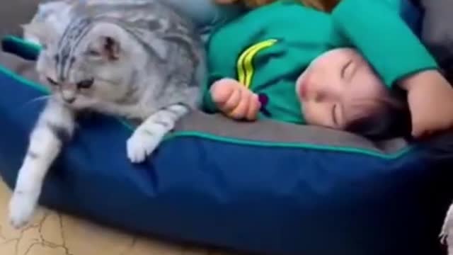 O amor entre bebê,gato e cachorro😍