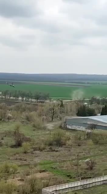 Уникальные кадры