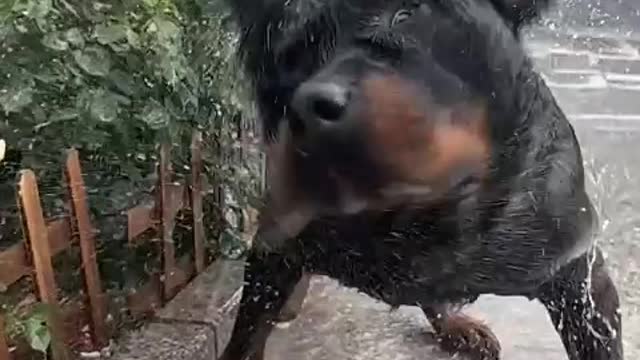 idle away in seeking pleasure