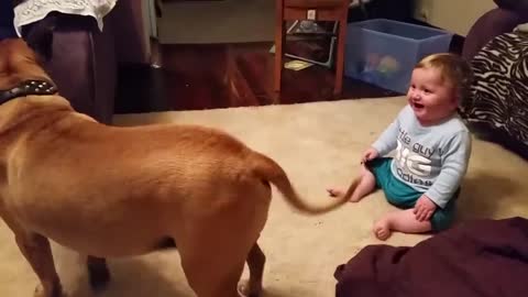 Baby laughing at dog & bubbles