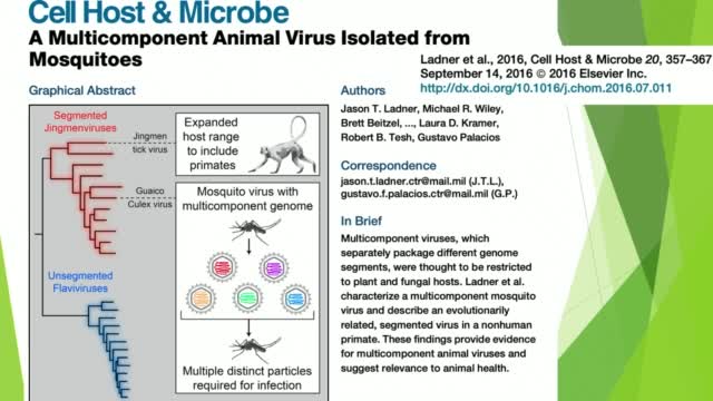 Dr. Judy Mikovits mRNA-Modifying COVID-19 “Vaccines” Are Poison Shots