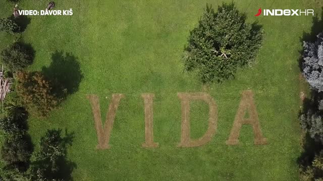 Donji Miholjac: Travnjak u čast Domagoju Vidi