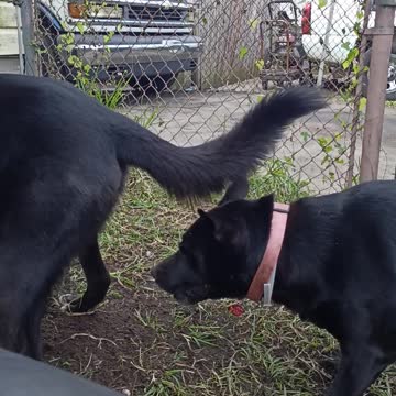 Roxanne has breakfast