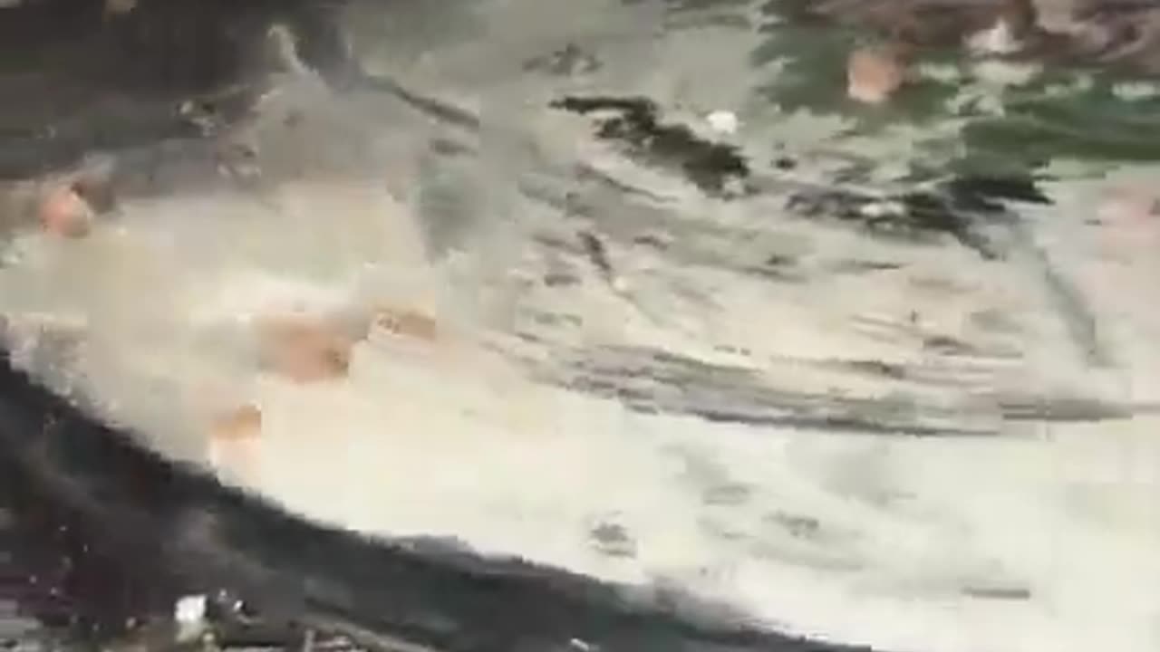 Electrician finds secret room filled with old treasures