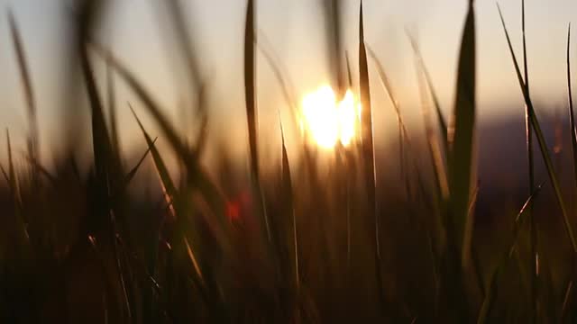 Relaxing Music,Sleep Music,Study Music-Nature Life