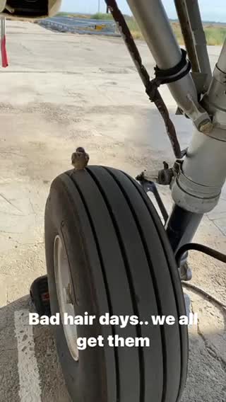 A baby bird I found on my preflight.