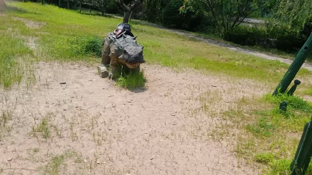 What kind of dinosaur is this?