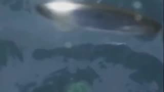 Antarctica's Metallic UFOs: 2 Astonishing Sightings