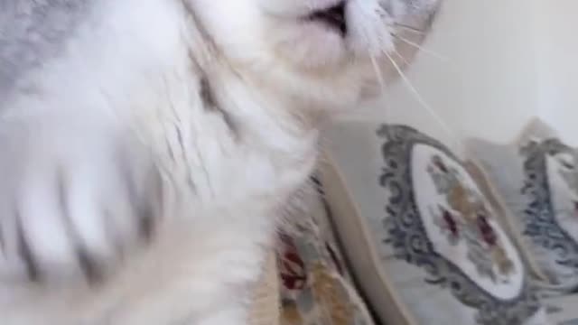 I went out to feed the cat, afraid of her checking