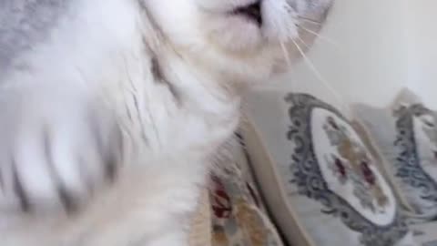 I went out to feed the cat, afraid of her checking