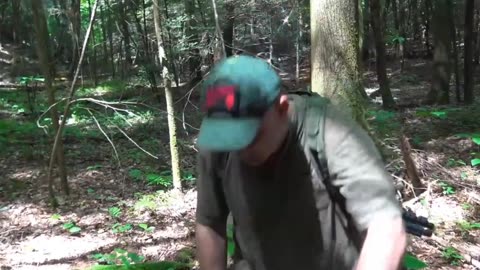Bigfoot Discovered