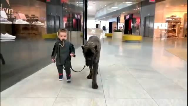 Baby Boy and Dogy Best Friend In Shopping Mall